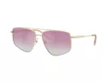 Jimmy Choo Sunčane Naočale 4011 300658