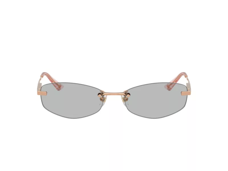 Jimmy Choo Sunčane Naočale 4013D 300887