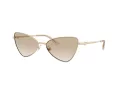 Jimmy Choo Sunčane Naočale 4015HB 300611