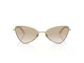 Jimmy Choo Sunčane Naočale 4015HB 300611
