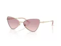Jimmy Choo Sunčane Naočale 4015HB 300668