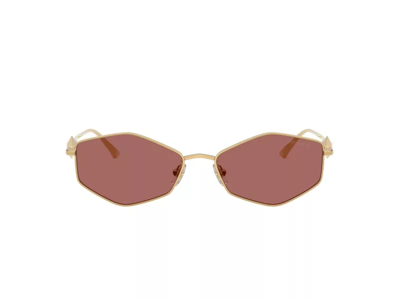 Jimmy Choo Sunčane Naočale 4017 302369