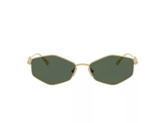 Jimmy Choo Sunčane Naočale 4017 302371