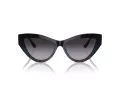 Jimmy Choo Sunčane Naočale 5004 504587