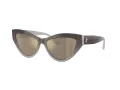 Jimmy Choo Sunčane Naočale 5004 50465A