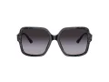 Jimmy Choo Sunčane Naočale 5005 50418G