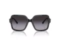 Jimmy Choo Sunčane Naočale 5005 50418G