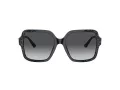 Jimmy Choo Sunčane Naočale 5005 5041T3