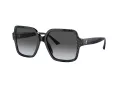 Jimmy Choo Sunčane Naočale 5005 5041T3