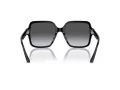 Jimmy Choo Sunčane Naočale 5005 5041T3