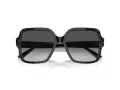 Jimmy Choo Sunčane Naočale 5005 5041T3
