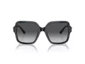 Jimmy Choo Sunčane Naočale 5005 5041T3