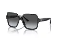 Jimmy Choo Sunčane Naočale 5005 5041T3