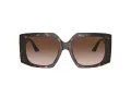 Jimmy Choo Sunčane Naočale 5006U 500213