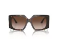 Jimmy Choo Sunčane Naočale 5006U 500213