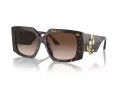 Jimmy Choo Sunčane Naočale 5006U 500213