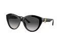Jimmy Choo Sunčane Naočale 5007 50008G