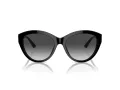 Jimmy Choo Sunčane Naočale 5007 50008G