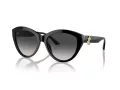 Jimmy Choo Sunčane Naočale 5007 50008G