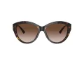 Jimmy Choo Sunčane Naočale 5007 500213