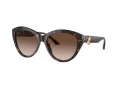 Jimmy Choo Sunčane Naočale 5007 500213