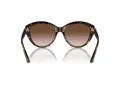 Jimmy Choo Sunčane Naočale 5007 500213