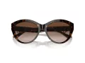 Jimmy Choo Sunčane Naočale 5007 500213