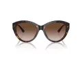 Jimmy Choo Sunčane Naočale 5007 500213