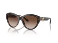 Jimmy Choo Sunčane Naočale 5007 500213