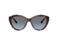Jimmy Choo Sunčane Naočale 5007 50028F