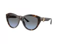 Jimmy Choo Sunčane Naočale 5007 50028F