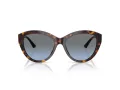 Jimmy Choo Sunčane Naočale 5007 50028F