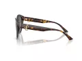 Jimmy Choo Sunčane Naočale 5007 50028F