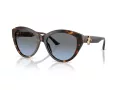 Jimmy Choo Sunčane Naočale 5007 50028F