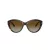 Jimmy Choo Sunčane Naočale 5007 5002T5