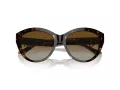 Jimmy Choo Sunčane Naočale 5007 5002T5