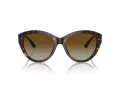 Jimmy Choo Sunčane Naočale 5007 5002T5