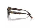 Jimmy Choo Sunčane Naočale 5007 5002T5