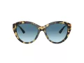 Jimmy Choo Sunčane Naočale 5007 500419