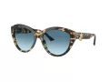 Jimmy Choo Sunčane Naočale 5007 500419