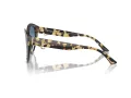 Jimmy Choo Sunčane Naočale 5007 500419