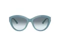 Jimmy Choo Sunčane Naočale 5007 501219
