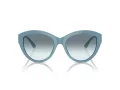 Jimmy Choo Sunčane Naočale 5007 501219
