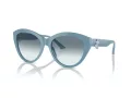 Jimmy Choo Sunčane Naočale 5007 501219