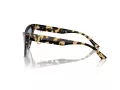 Jimmy Choo Sunčane Naočale 5008 500472