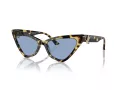 Jimmy Choo Sunčane Naočale 5008 500472