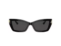 Jimmy Choo Sunčane Naočale 5011U 500087