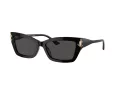 Jimmy Choo Sunčane Naočale 5011U 500087