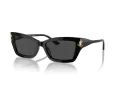 Jimmy Choo Sunčane Naočale 5011U 500087