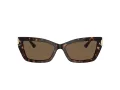 Jimmy Choo Sunčane Naočale 5011U 500273